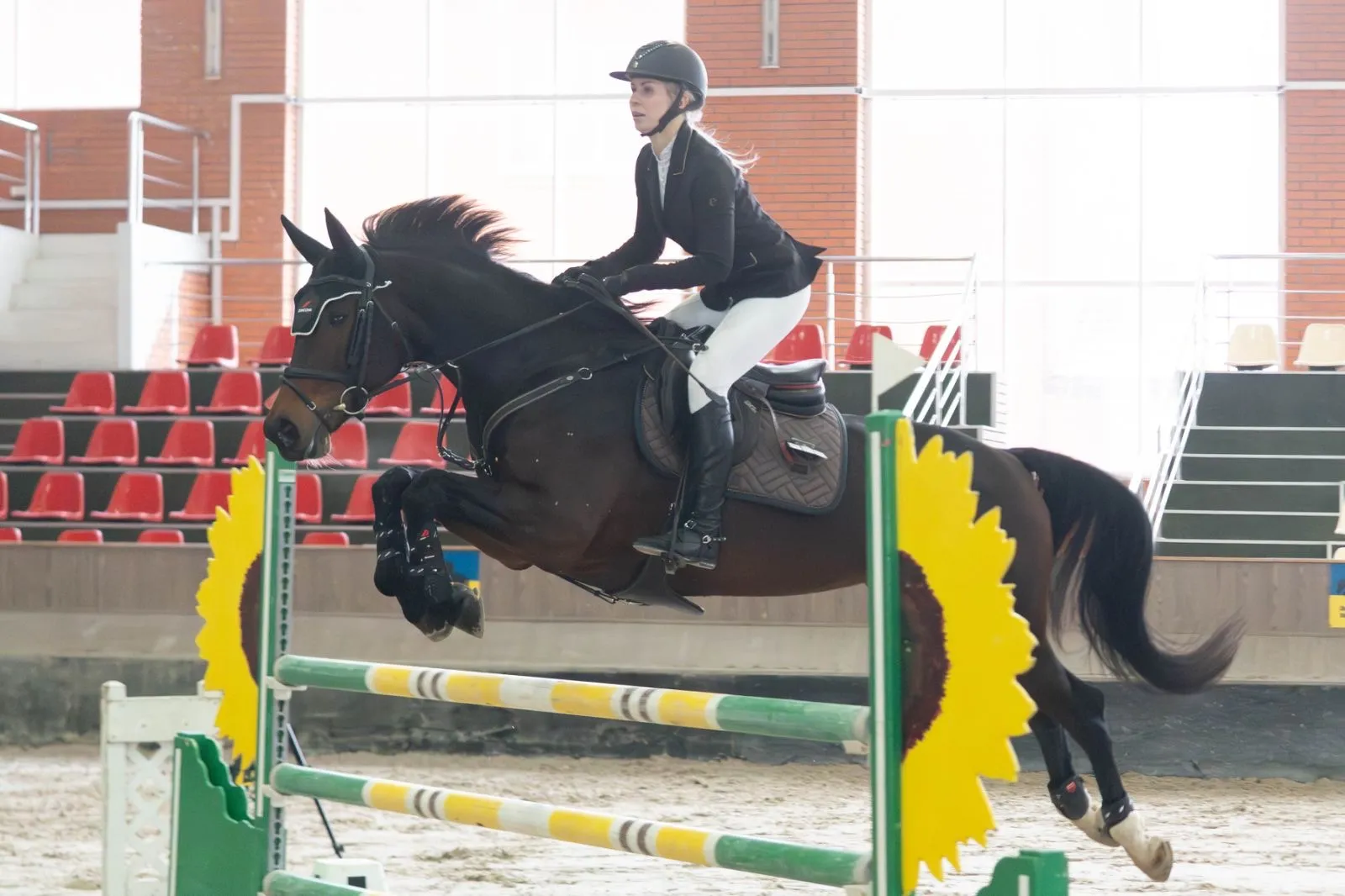 Відкриті регіональні змагання з кінного спорту