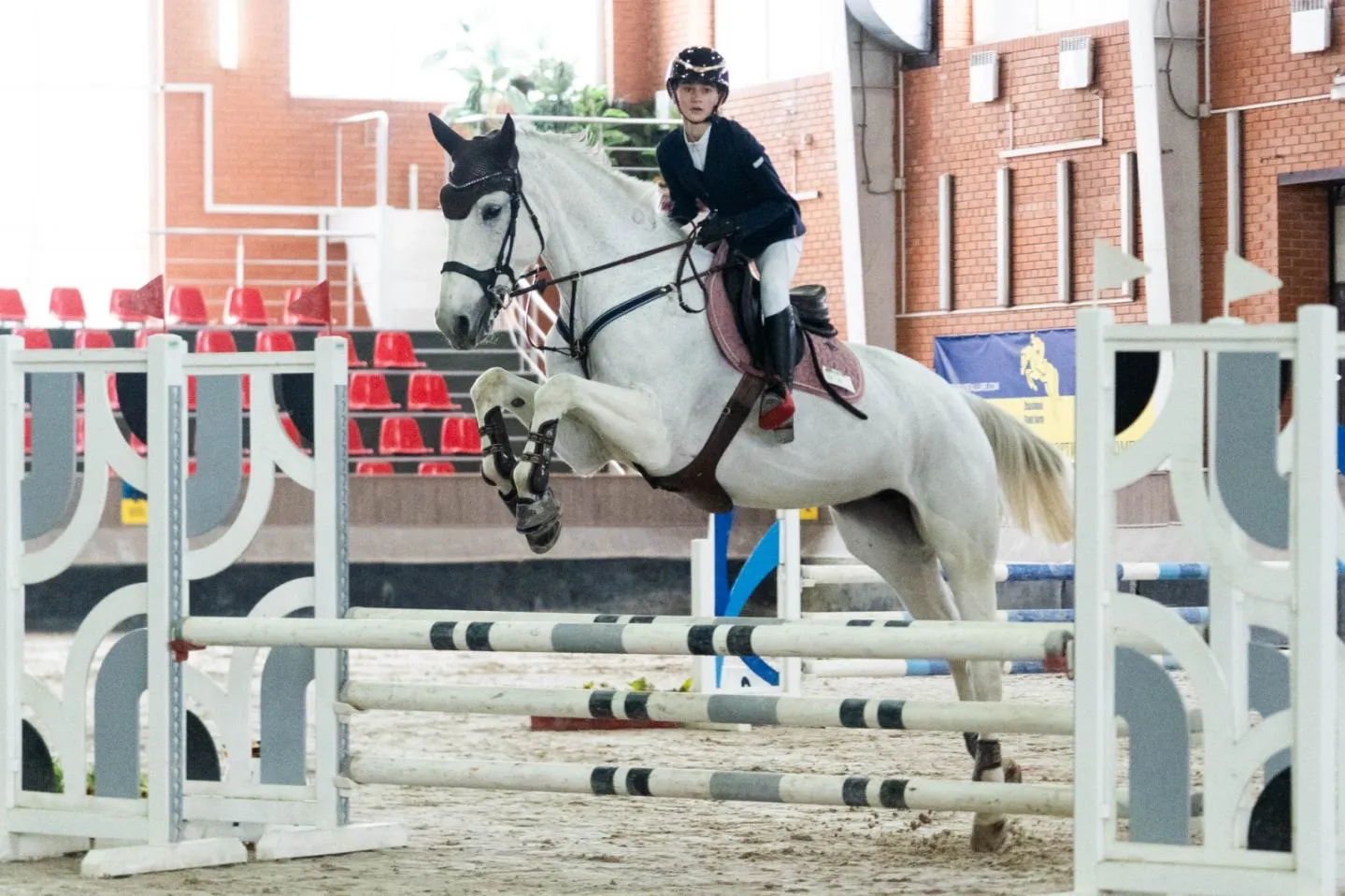 Відкриті регіональні змагання з кінного спорту