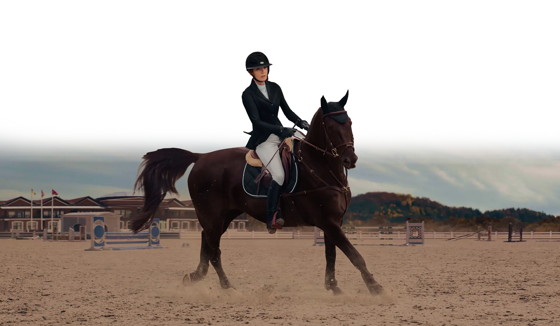 кінно-спортивний та ресторанний комплекс