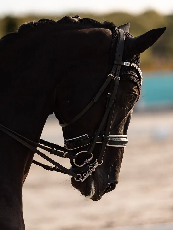 Ми також пропонуємо