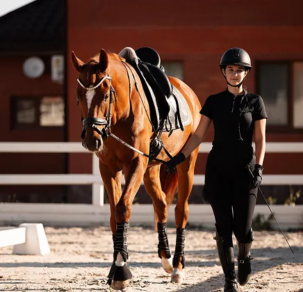 Основи поводження з конем