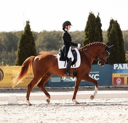 Верхова їзда в манежі: