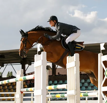 заняття продвинутих вершників