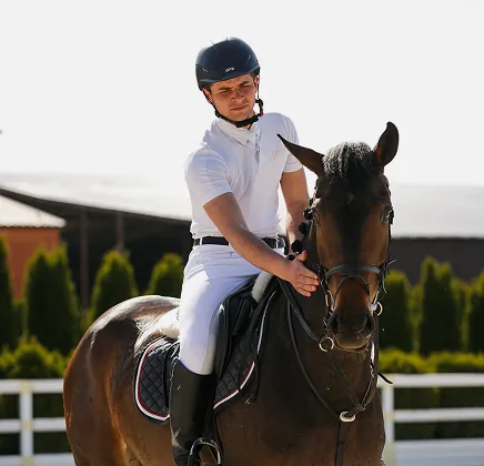 Психологія спілкування з конем
