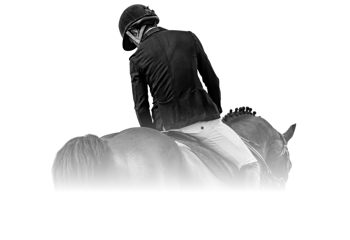 ПРОГРАММА НАВЧАННЯ ВКЛЮЧАЄ