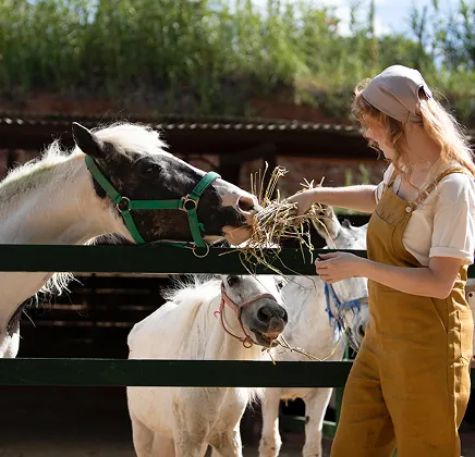 Збалансоване харчування