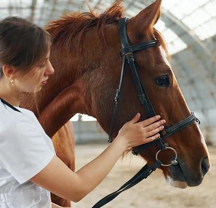 Контроль здоров’я
