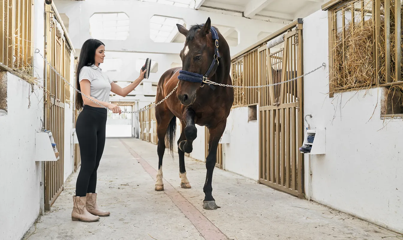 наші можливості